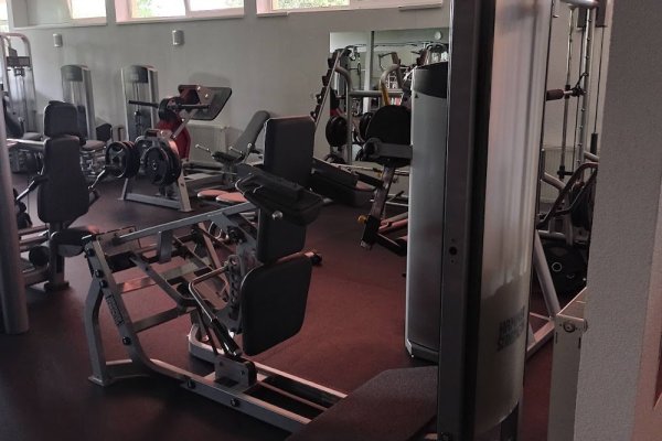 Kingdom gym