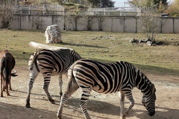 ZOO Košice