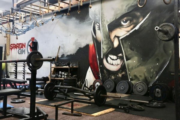 Spartan Gym