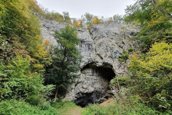 Býčí skála