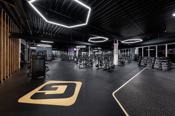 GYMNATION