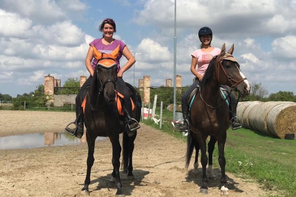 Pony Praha - jezdecká škola